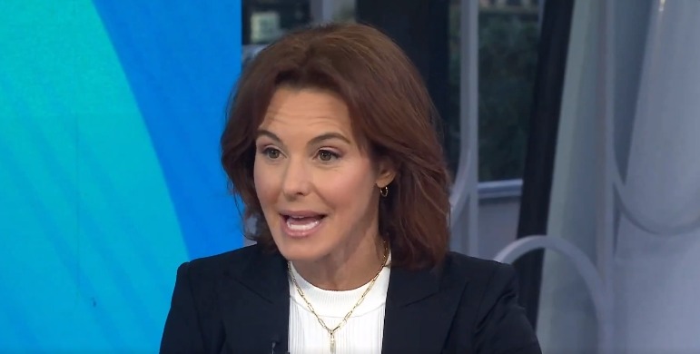 Stephanie Ruhle of MSNBC has revealed the illness she’s battling: “I’m ...